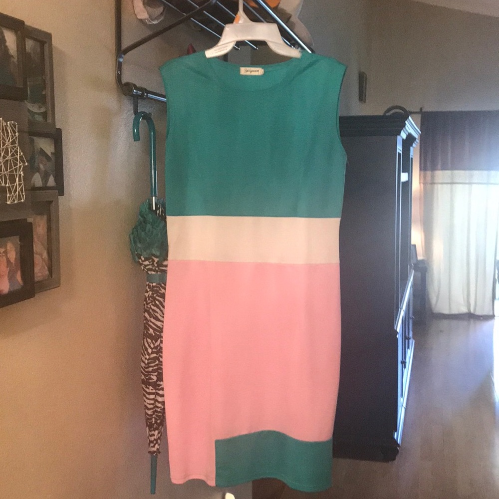 XL Color Block Dress